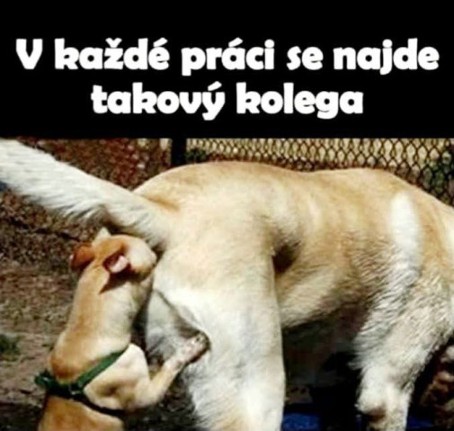 V každej robote....